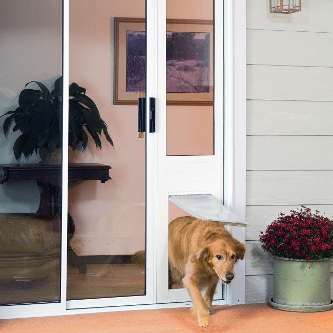 A golden retriever exits a pet door installed in a sliding glass door.