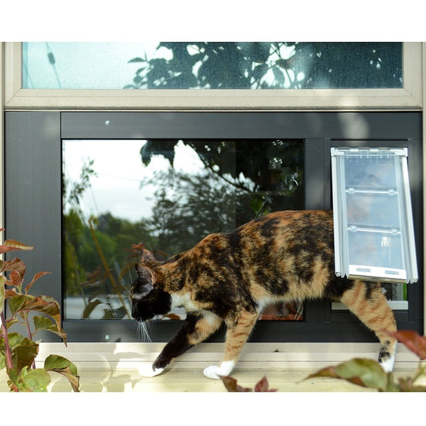 Cat Doors: Choose the Purr-fect One