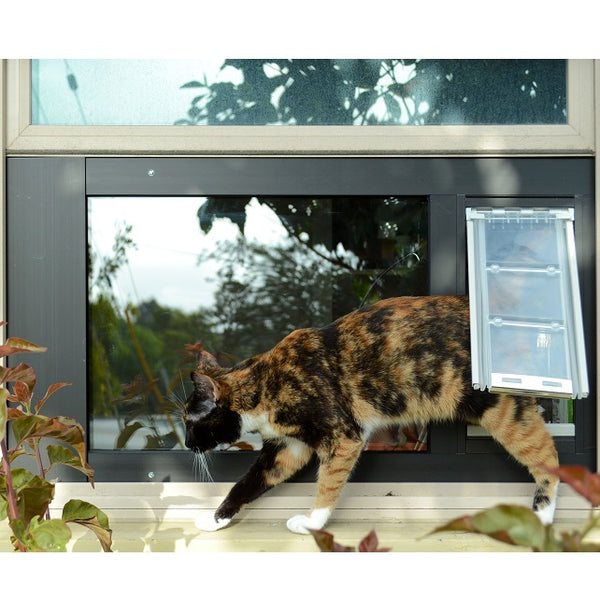 Cat Doors: Choose the Purr-fect One