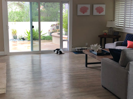 dog with endura flap pet door insert for sliding glass doors