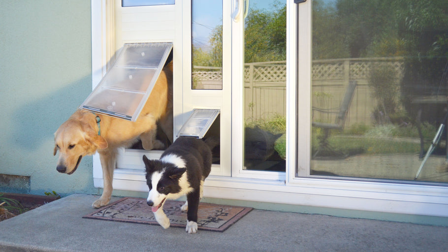 Doors for Dogs Who Have Trouble Walking