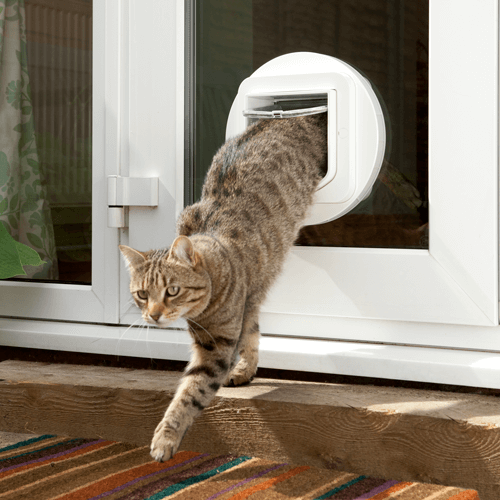 A PetPorte Smart Flap installed into a wall and plugged into the nearest electrical outlet, which is perfect for cats.