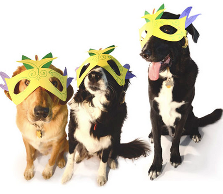 Three of the PetDoor.com office dogs of different breeds wearing large paper Mardi Gras maskes over their faces. 