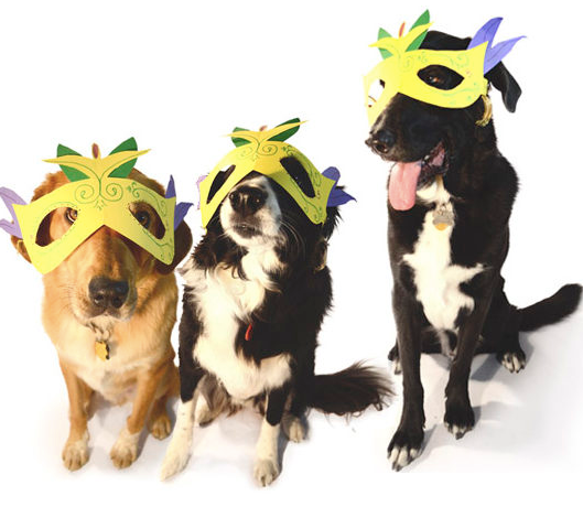 Dog mardi gras costumes hot sale