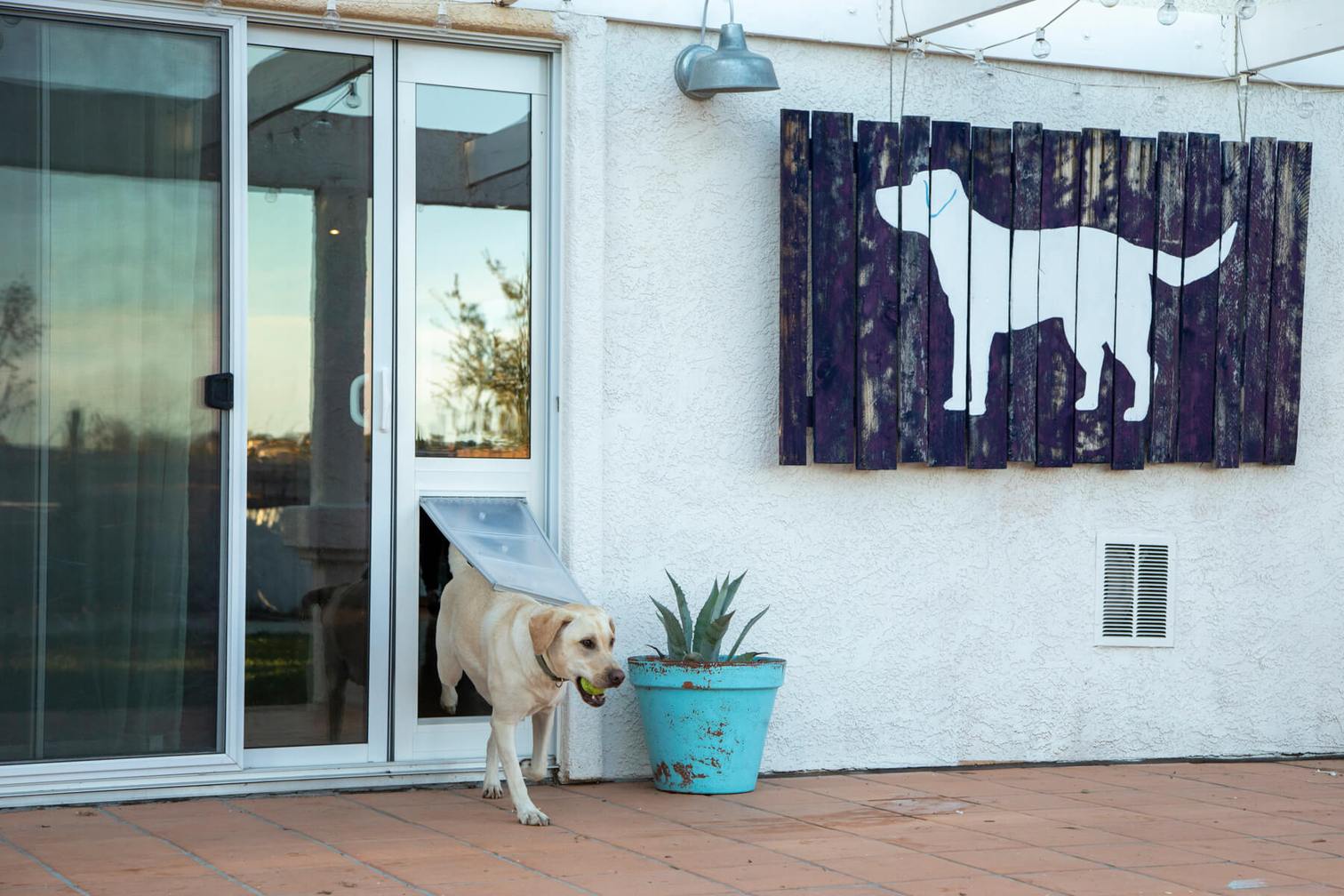 Yellow lab using Endura Flap pet door for sliding glass