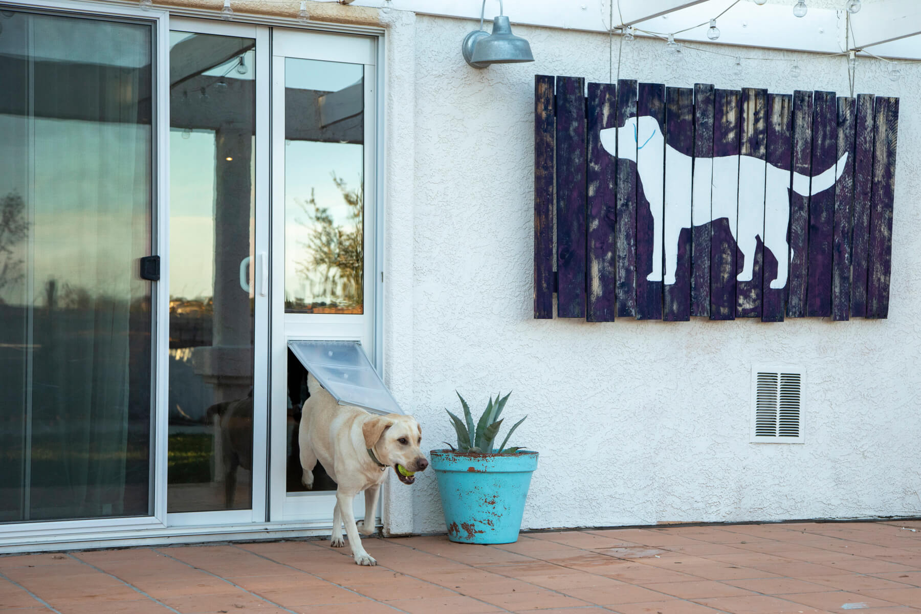 How to Install Pet Door in Slider: Easy Steps for Perfect Fit
