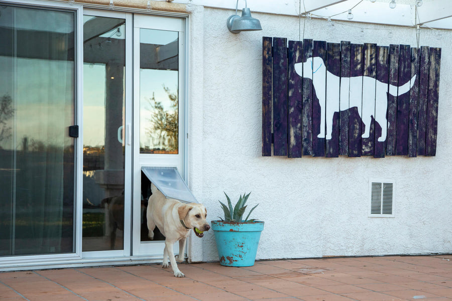 Installing a Dog Door in a Sliding Glass Door