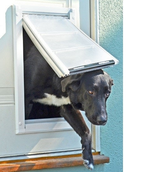 A black dog leaving a house through a single flap Endura pet door with a white aluminum frame. 