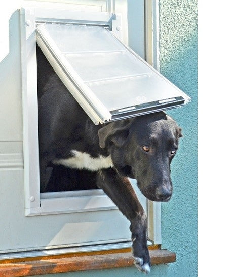 A black dog leaving a house through a single flap Endura pet door with a white aluminum frame. 