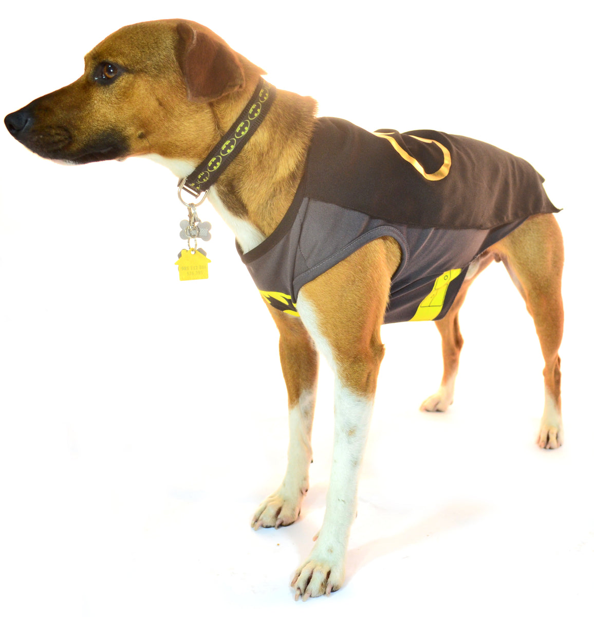 How to Weatherproof Your Home with an EnergyEfficient Pet Door