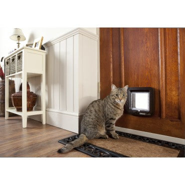 A brown cat waiting to leave the house through the electronic SureFlap Microchip Cat Flap for Doors, which unlocks when it detects a cat's microchip. 