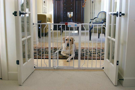 A large, light fur dog sitting in front of a baby gate that prevents him from getting into parts of the house his owners do not want him in. 