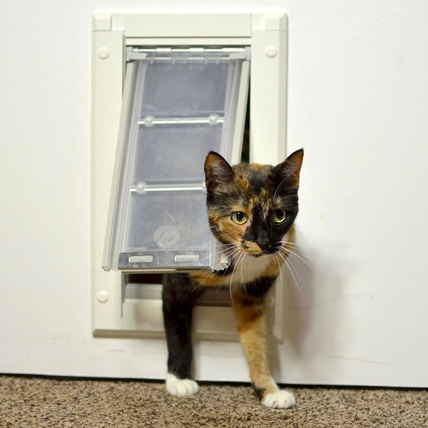 The 16 Best Cat Doors of 2023