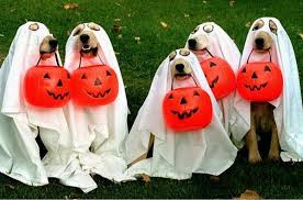 A group of dogs wearing bed sheets over their heads to look like ghosts for Halloween; in their mouths are plastic pumpkin baskets. 