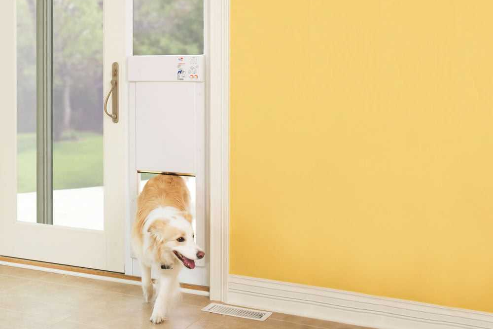 Microchip medium top dog door