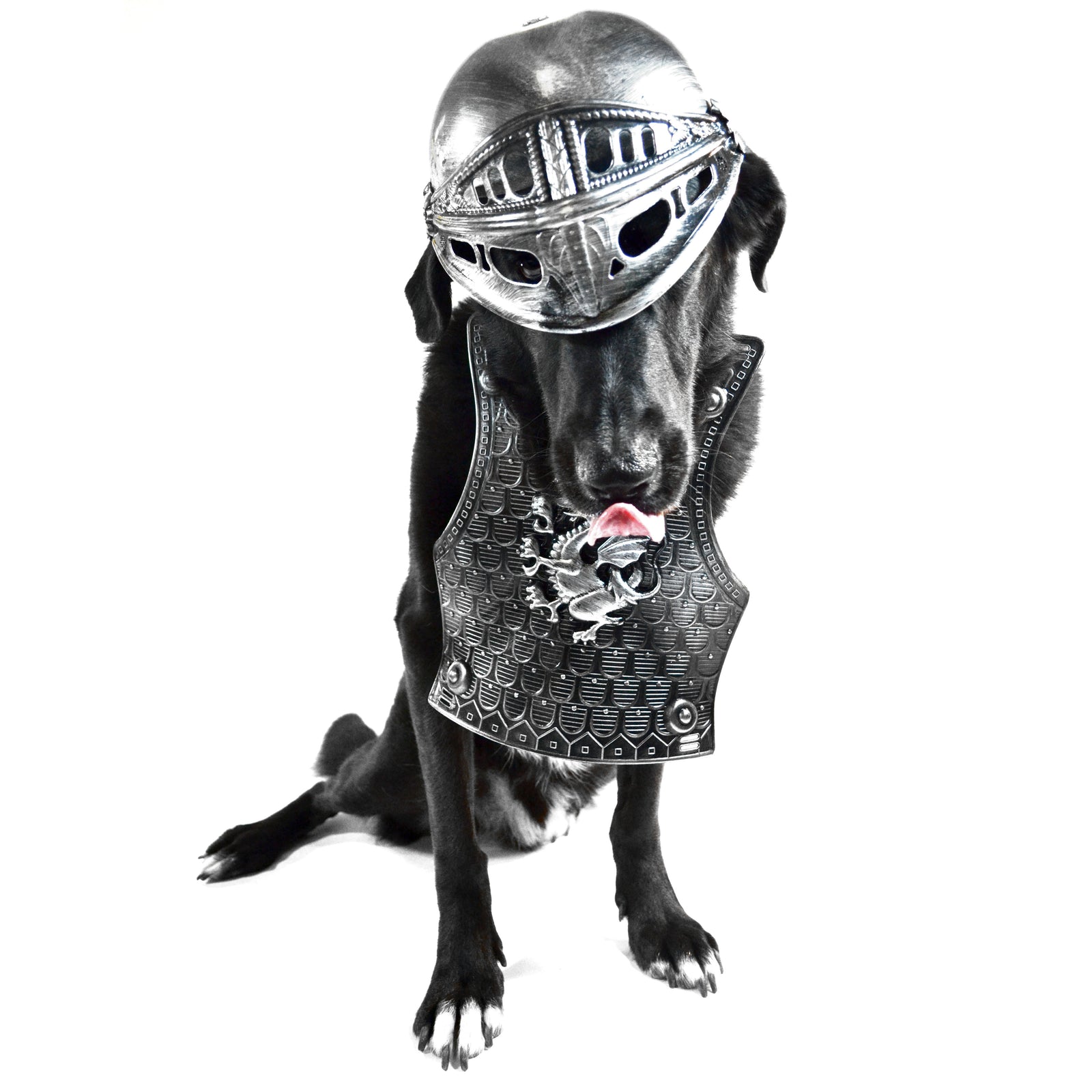 A black dog wearing costume medival armor, such as a fake breast plate and a plastic knight helmet. 