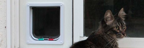 A brown tabby cat is near a cat door in a white door.