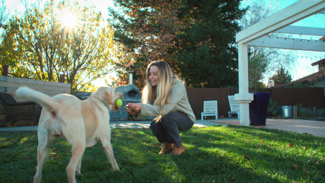 Woman playing with yellow lab