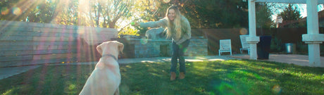 A blonde woman throws a ball to a yellow lab in a sunny backyard.