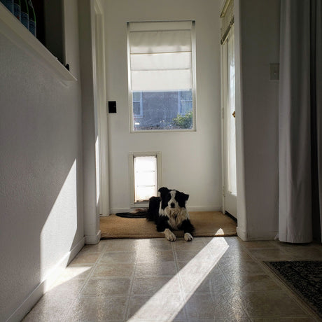 Replacement flaps for pet doors