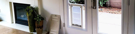An interior shot of a white-framed door with a pet door, near a fireplace and plants.
