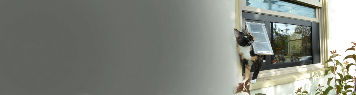 Cat Doors for Windows | Pet Doors for Cats | Window Flaps