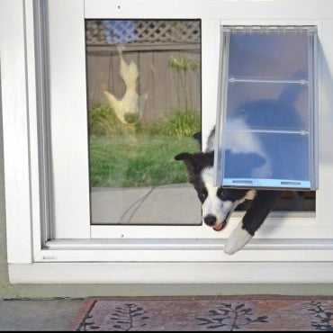 A black and white dog is halfway through a pet door installed in a sliding glass door.