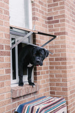A large, black dog is standing in a partially open window of a brick building.