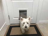 A West Highland White Terrier stands in front of a pet door on a white door, on a brown and black mat.