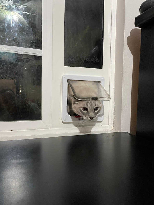 Whiskers & Windows Cat Door for Vinyl Sliding Glass Doors