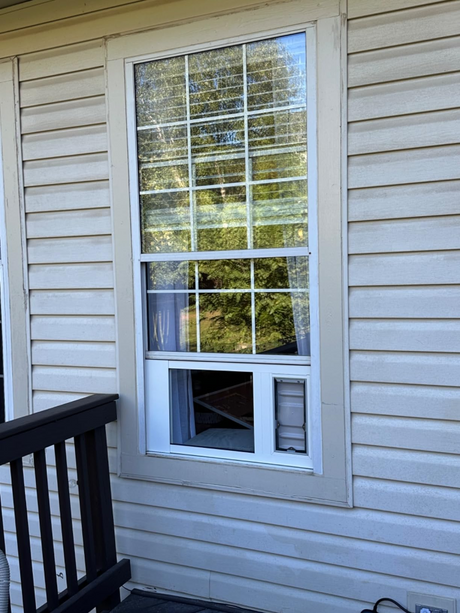 An exterior shot of a window with a pet door insert, reflecting trees.