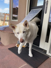Petdoors