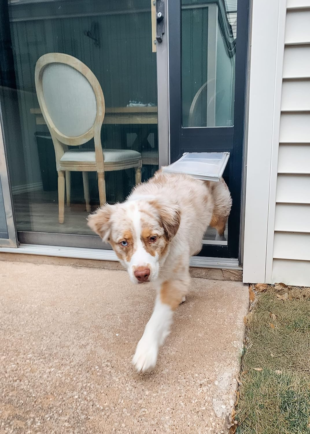 Endura Flap Thermo Panel with Dual-Pane Glass