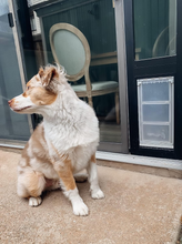 Petdoors