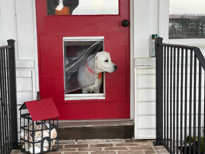 Ideal Designer Series Pet Doors: Perfect for Dogs and Cats of All