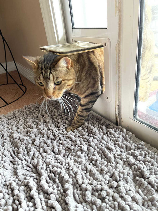 Whiskers & Windows Custom Cat Door for Vinyl Sliding Glass Doors