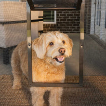 A fluffy dog looks through a pet door in a screen door.