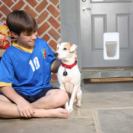 A young boy in an Italian soccer jersey pets a Jack Russell terrier wearing a red collar next to a gray door with a dog door installed.