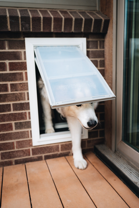 Endura Flap Pet Door for Thick Walls