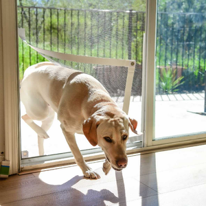 Dog Door Keys, Accessories