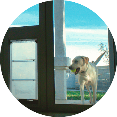Installing a Pet Door In A Sliding Glass Door