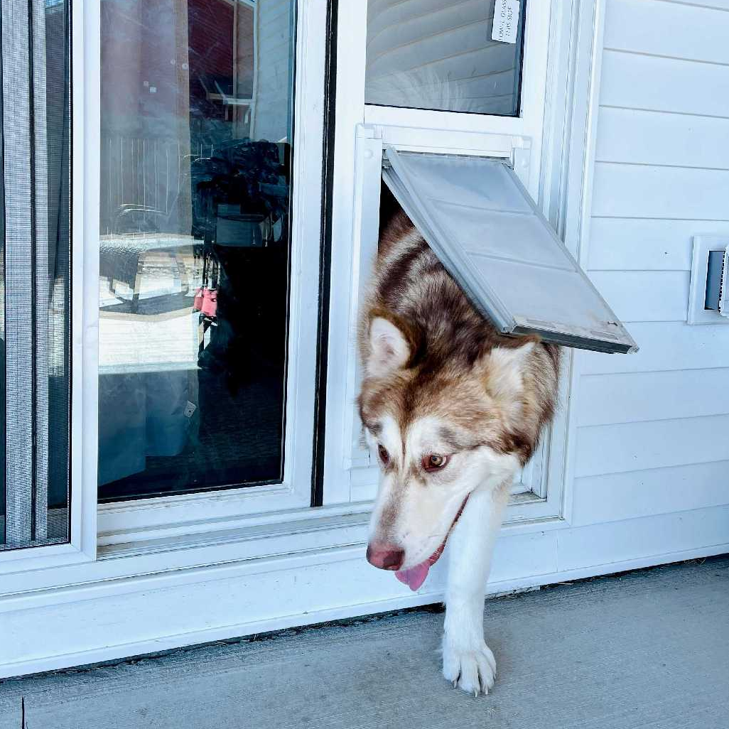 Petsafe sliding glass pet door shop manual