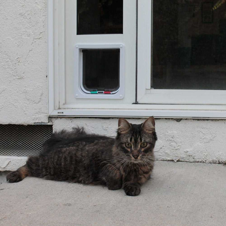 Whiskers & Windows Cat Door for Vinyl Sliding Glass Doors