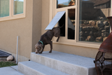 Pet Door Products In The Glass Pet Door