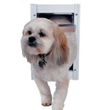 A small dog is coming through a dog door.