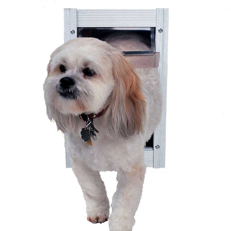 A small dog is coming through a dog door.