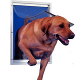 A brown dog is passing through a dog door.