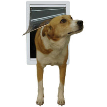 A dog with tan and white fur is walking through a white-framed dog door.