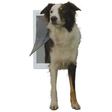 Brown and white dog standing in a dog door.
