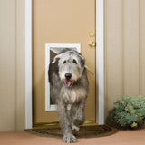 A large, gray, shaggy dog walks through a dog door.